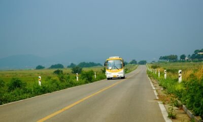 Viajar em ônibus clandestino pode ser quatro vezes mais letal