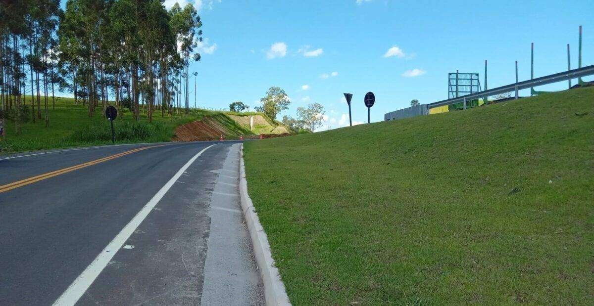 Grama bem cuidada pode evitar acidentes em rodovias