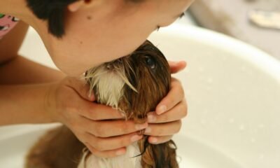 Faça do banho um momento relaxante e prazeroso para os pets