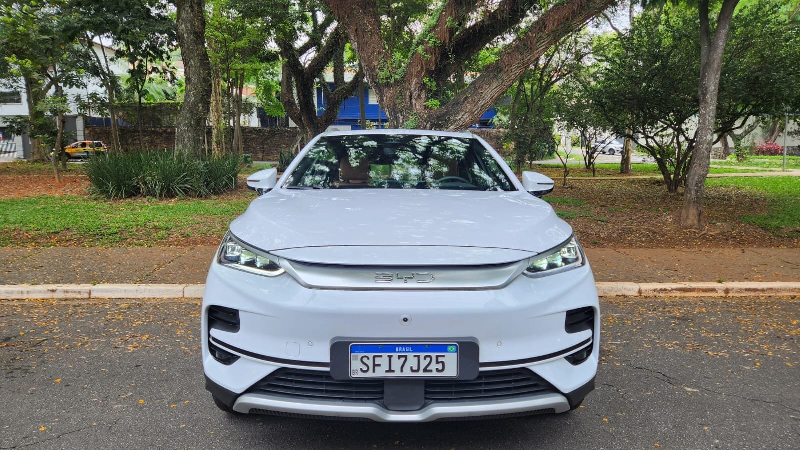 BYD Tan alia alta performance e design sofisticado