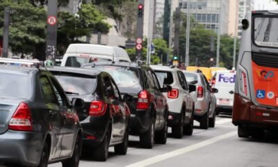 Coluna Fernando Calmon Novembro foi melhor mês do ano em vendas por dia