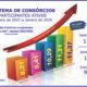 Sistema de consórcios: ano inicia com crescimentos