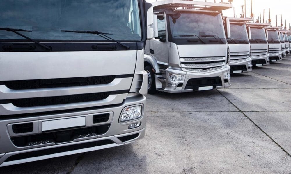 Mulheres assumem liderança em empresas de transporte de cargas e logística