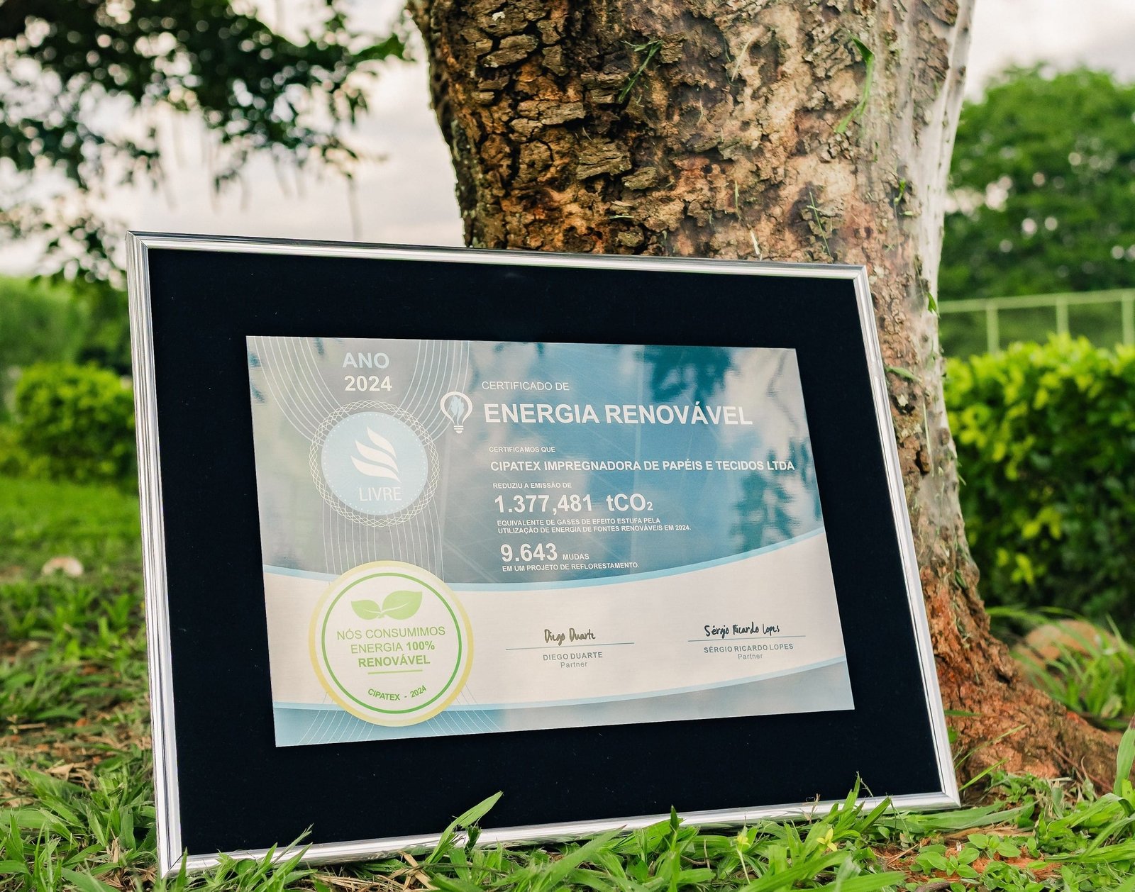 Cipatex recebe Certificado de Energia Renovável por reduzir emissões de carbono - Divulgação (1)