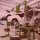Bradesco seguros lidera projeto que fortalece a sustentabilidade no setor