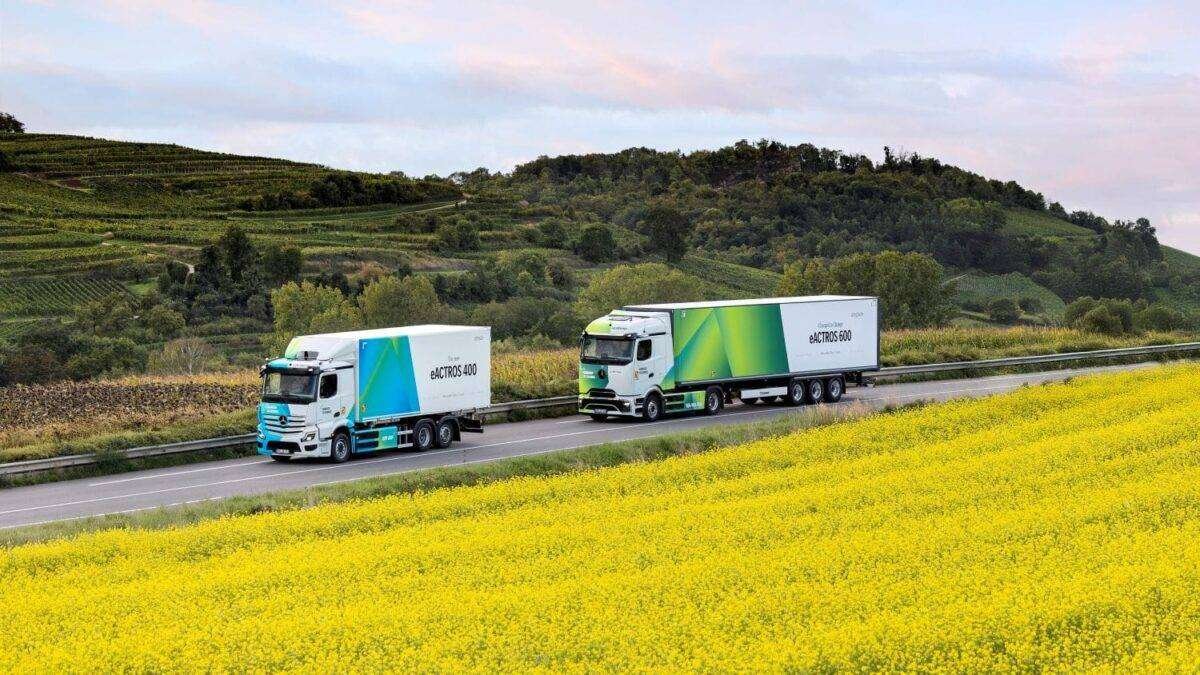 img-9695-20251001-150438-630-DC8B-20251001-145250-939-2D4E_25dt232-014