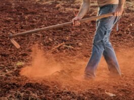 Justiça mantém condenação da Volkswagen por trabalho escravo