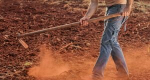 Justiça mantém condenação da Volkswagen por trabalho escravo