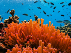 EcoRodovias testa energia do mar em rodovias EcoRodovias testa energia do mar em rodovias