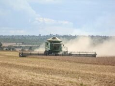 Gulf Oil Brasil lança Agefix E8 em embalagem de 1 litro