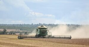 Gulf Oil Brasil lança Agefix E8 em embalagem de 1 litro