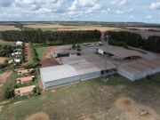 CNH e TIM ampliam conectividade rural com investimento de R$ 77 milhões