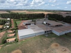 CNH e TIM ampliam conectividade rural com investimento de R$ 77 milhões