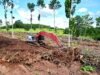Link-Belt registra crescimento nas vendas na América Latina