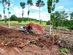 Link-Belt registra crescimento nas vendas na América Latina