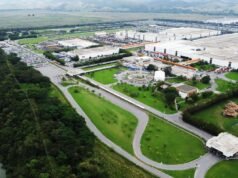 Volkswagen Caminhões e Ônibus abre inscrições para Global Trainee 2026