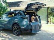 Peugeot apresenta conceito E-5008 Dog Edition inspirado nos cães