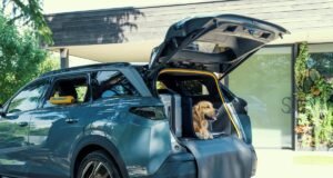 Peugeot apresenta conceito E-5008 Dog Edition inspirado nos cães