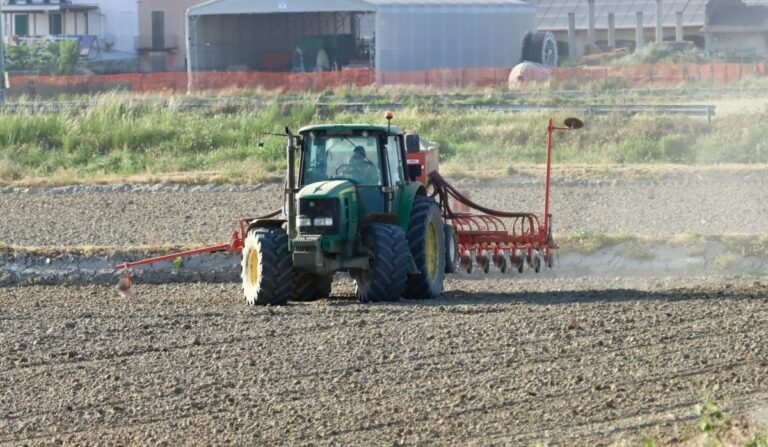 Gulf leva soluções para agricultura regenerativa à ANDAV