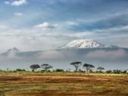Monjaro leva nome do Kilimanjaro para a indústria automotiva