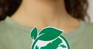 RenovaBio movimenta R$ 16,5 bilhões em créditos de carbono