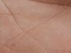 Biometria palmar pode mudar acesso ao transporte público