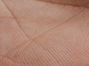 Biometria palmar pode mudar acesso ao transporte público