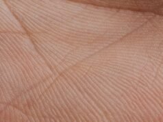 Biometria palmar pode mudar acesso ao transporte público