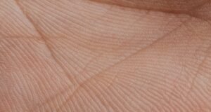 Biometria palmar pode mudar acesso ao transporte público