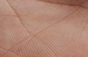 Biometria palmar pode mudar acesso ao transporte público