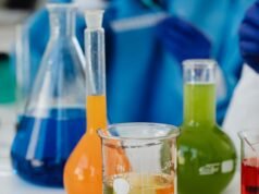 Biocombustíveis colocam Brasil no debate sobre descarbonização