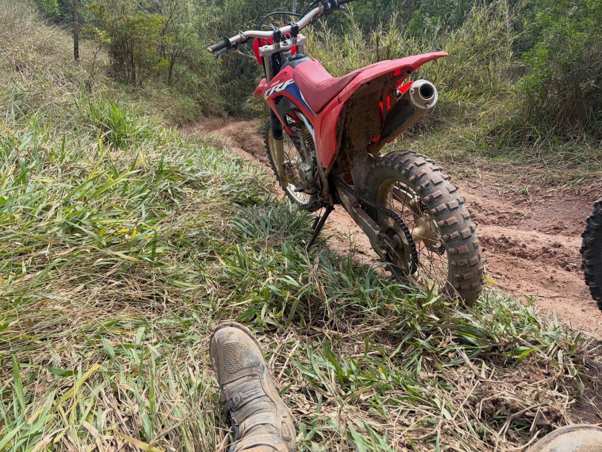 Convívio nas trilhas da Serra da Cantareira