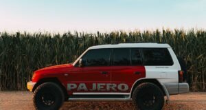 Pajero liga vitórias em ralis à produção brasileira em Catalão