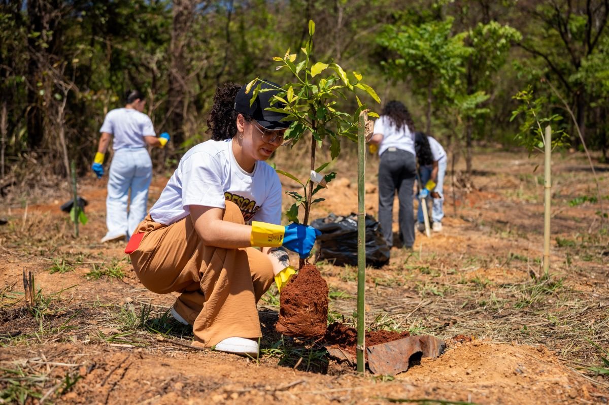 Voluntários no plantio de mudas